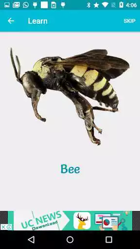 Play APK AtoZ Insects Name Prime  and enjoy AtoZ Insects Name Prime with UptoPlay com.hashcap.kidzify.en.insects