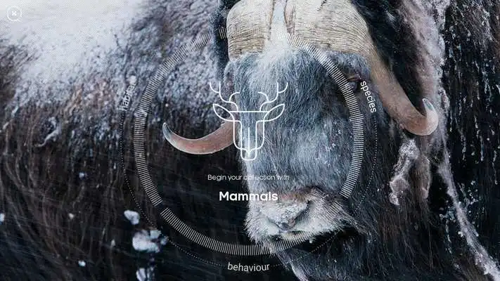 Play Attenboroughs Story of Life