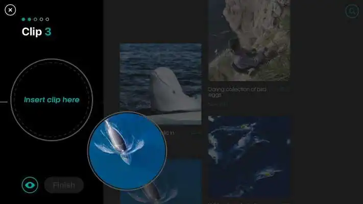 Play Attenboroughs Story of Life