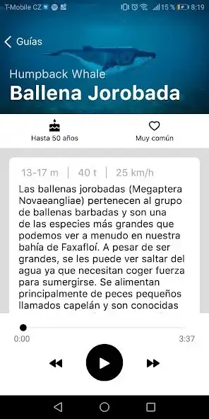 Play Audioguía de Islandica – Avist as an online game online Audioguía de Islandica – Avist with UptoPlay Play Audioguía de Islandica – Avist as an online game Audioguía de Islandica – Avist with UptoPlay