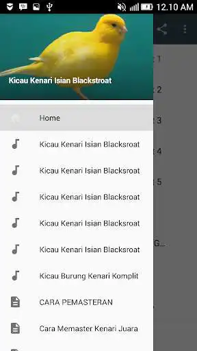 Play APK Audio Kicau Kenari Isian Blackstroat  and enjoy Audio Kicau Kenari Isian Blackstroat with UptoPlay com.tidut.kicau.kenari.isian.blackstroat