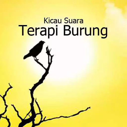 Free play online Audio Kicau Suara Terapi Burung APK