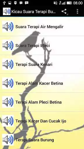 Play Audio Kicau Suara Terapi Burung