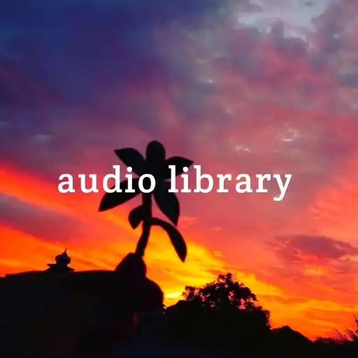 Play audio library 01 APK