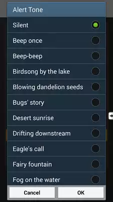 Play Audio Manager Pro