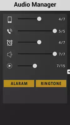 Play Audio Manager Pro