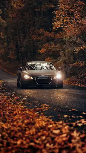 Play Audi R8 Wallpapers as an online game Audi R8 Wallpapers with UptoPlay