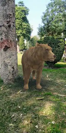 Play Augmented Reality - Bears in Real World Life as an online game Augmented Reality - Bears in Real World Life with UptoPlay