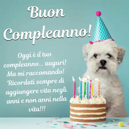 Play Auguri di Buon Compleanno  and enjoy Auguri di Buon Compleanno with UptoPlay