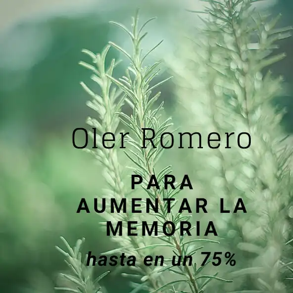 Play Aumentar la Memoria hasta un 7 as an online game online Aumentar la Memoria hasta un 7 with UptoPlay Play Aumentar la Memoria hasta un 7 as an online game Aumentar la Memoria hasta un 7 with UptoPlay
