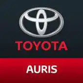 Free play online Auris Brochure APK
