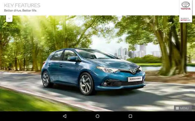 Play Auris Brochure
