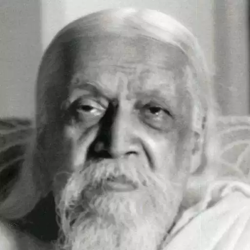 Play Auro Dictionary:Sri Aurobindo APK Play Auro Dictionary:Sri Aurobindo APK