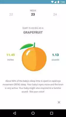 Play Aurora Baby Play Aurora Baby