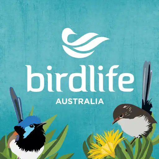 Free play online Aussie Bird Count APK