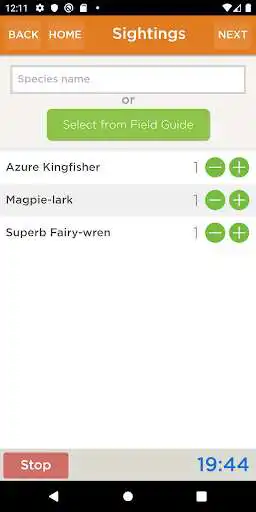 Play Aussie Bird Count as an online game Aussie Bird Count with UptoPlay