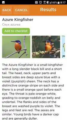 Play Aussie Bird Count