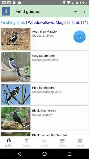 Play Australian Birds Guide Play Australian Birds Guide
