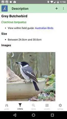 Play Australian Birds Guide Play Australian Birds Guide