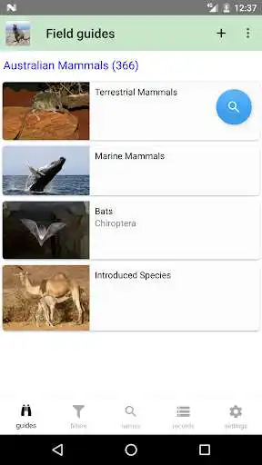 Play Australian Mammals