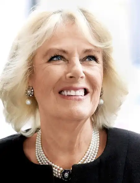 Play Australian Womens Weekly NZ as an online game Australian Womens Weekly NZ with UptoPlay