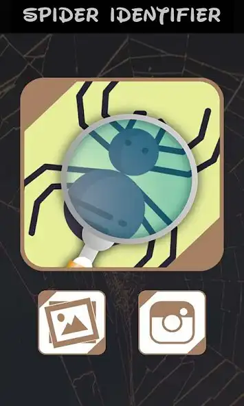 Play Automatic spider identifier with neural network  and enjoy Automatic spider identifier with neural network with UptoPlay