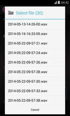 Play Auto Recorder