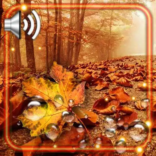 Play Autumn 2021 Gallery APK Play Autumn 2021 Gallery APK