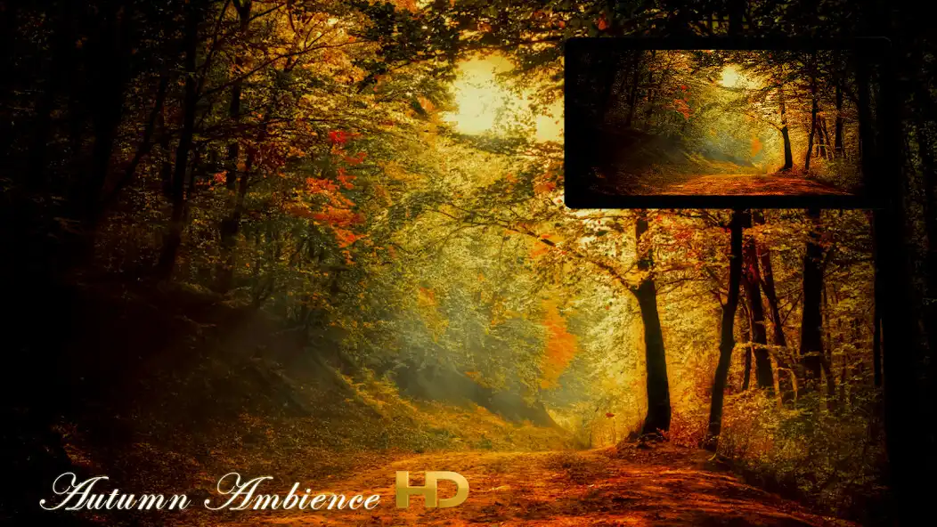 Play Autumn Ambience HD  and enjoy Autumn Ambience HD with UptoPlay