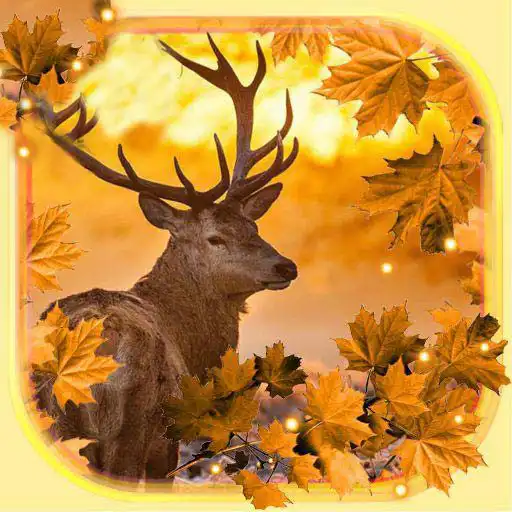 Play Autumn Animals Live Wallpaper APK