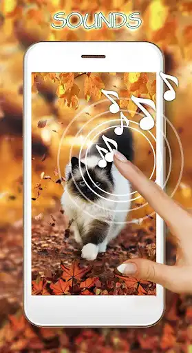 Play Autumn Animals Live Wallpaper  and enjoy Autumn Animals Live Wallpaper with UptoPlay