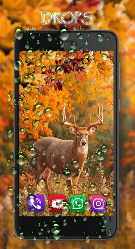 Play Autumn Animals Live Wallpaper as an online game Autumn Animals Live Wallpaper with UptoPlay