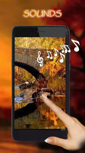 Play Autumn Fairy Night 2020  and enjoy Autumn Fairy Night 2020 with UptoPlay