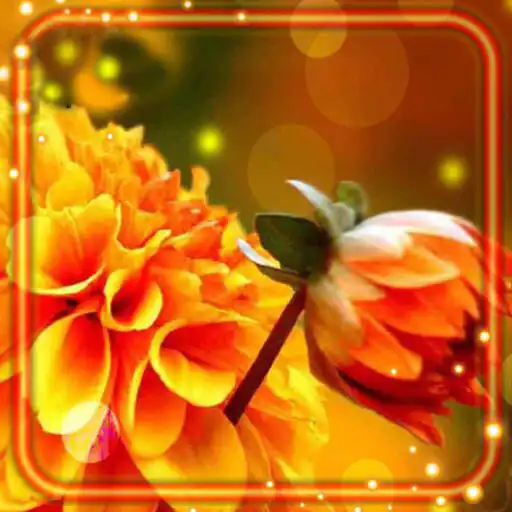 Free play online Autumn Flowers Live Wallpaper APK Free play online Autumn Flowers Live Wallpaper APK