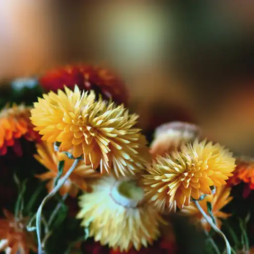 Play Autumn Flowers Live Wallpaper APK Play Autumn Flowers Live Wallpaper APK