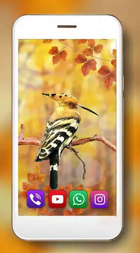 Play Autumn Forest Birds HD as an online game Autumn Forest Birds HD with UptoPlay
