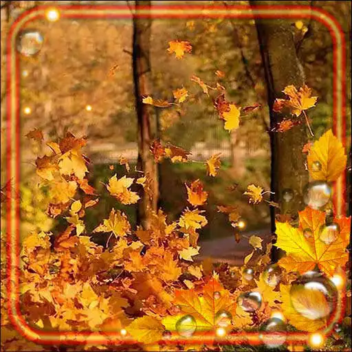 Play Autumn Forest HD APK Play Autumn Forest HD APK