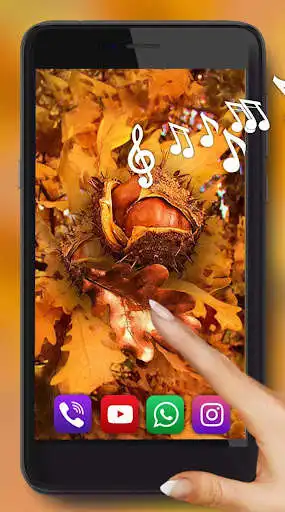 Play Autumn Forest HD  and enjoy Autumn Forest HD with UptoPlay