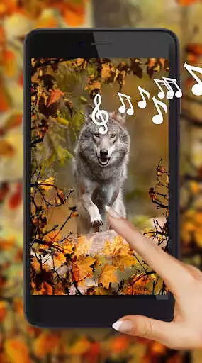 Play Autumn Forest Life  and enjoy Autumn Forest Life with UptoPlay