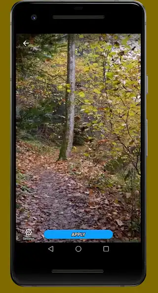 Play Autumn Forest Video Wallpaper
