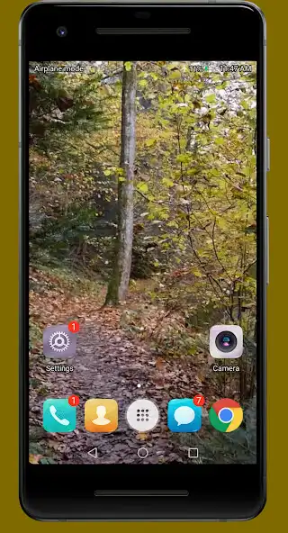 Play Autumn Forest Video Wallpaper