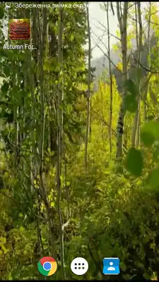 Play Autumn Forest Video Wallpaper