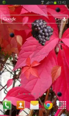 Play Autumn Grapes LWP