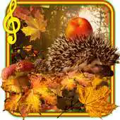Free play online Autumn Hedgehogs live wallpaper APK Free play online Autumn Hedgehogs live wallpaper APK