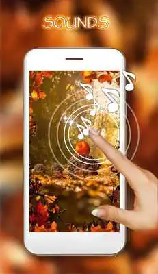 Play Autumn Hedgehogs live wallpaper