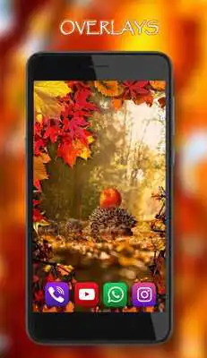 Play Autumn Hedgehogs live wallpaper