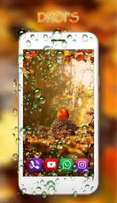 Play Autumn Hedgehogs live wallpaper