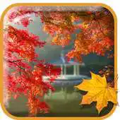 Free play online Autumn APK