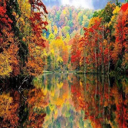 Play Autumn landscapes APK