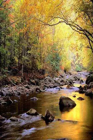 Play Autumn landscapes  and enjoy Autumn landscapes with UptoPlay